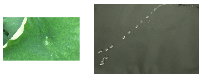 OD体育医用纺织